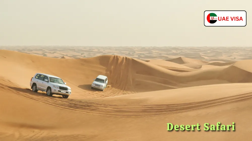 Desert Safari with BBQ Dinner